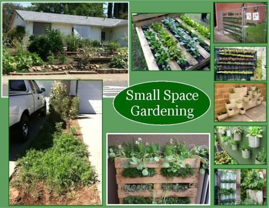 Small space, container and vertical Gardening!